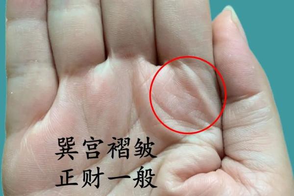 2023年：81年出生的人命运的深度解析与展望