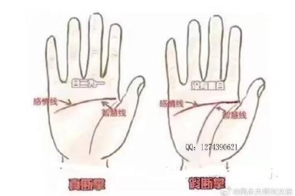 男人断掌正常吗？解读掌纹与命运之间的关系