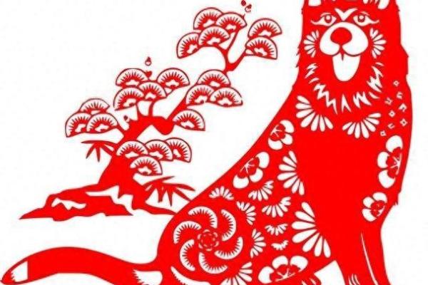 70年属狗属什么命，揭秘你的命运与性格！