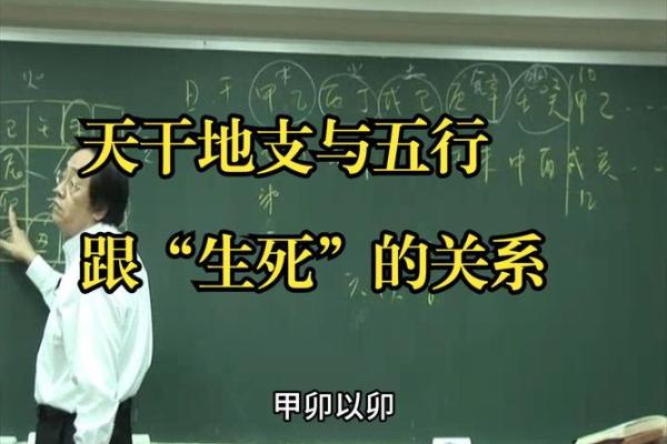 天干与地支的奇妙转化：解秘命理的奥秘与哲学