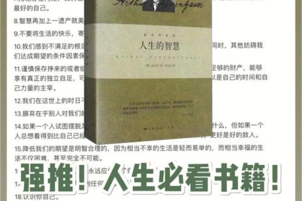 勤劳上班族的命运——努力背后的秘密与人生智慧