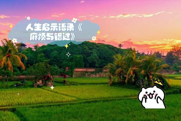 1995年出生之人：宅命解析与人生启示