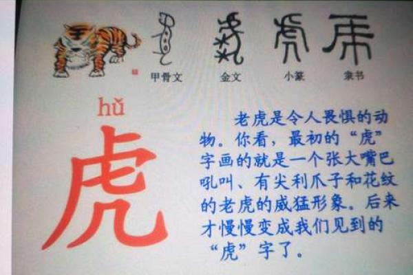 虎宝宝取名：探索五行与命理的完美结合