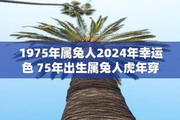 天水命之人穿什么颜色：让运势更佳的时尚选择