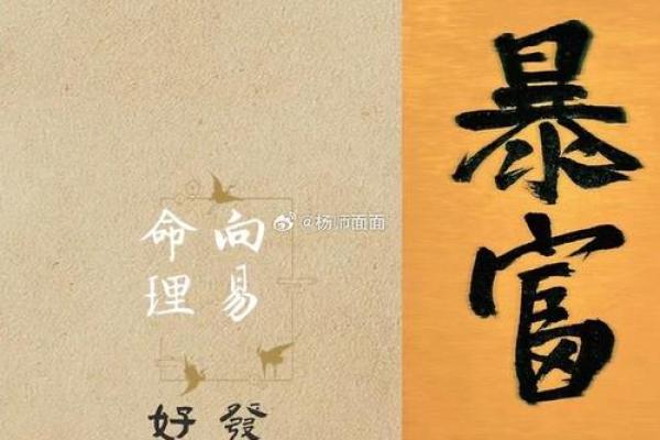 正月土命缺什么颜色：助你提升运势的小妙招
