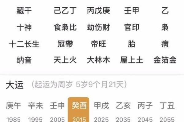 揭秘命理：甲戌年生人的命运与性格分析