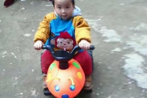 童子命的坎坷人生：如何在风雨中绽放光彩