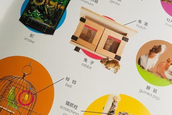 解读2022年虎年命理：揭示生肖虎的命运与性格奥秘