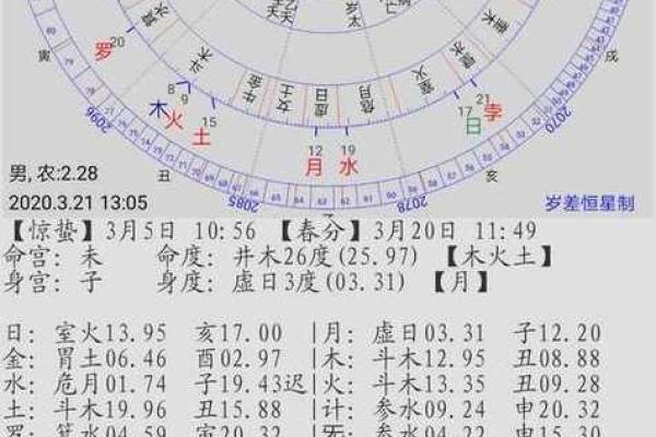 探索命盘深处：十二宫的神秘与启示