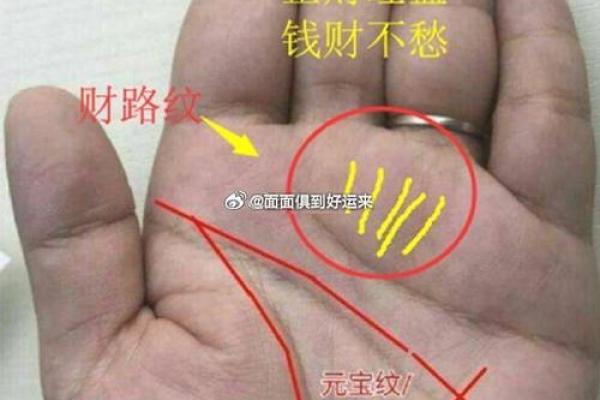 金蟾适合什么命的人？探索神秘财富与运势的完美契合