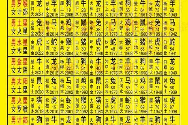 探索星象命理学：星星对人生的指引与启示