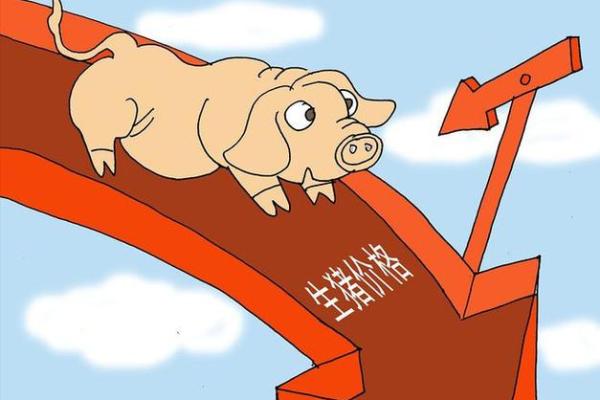 2023年11月，95猪命运解析：幸福与挑战的交织之旅