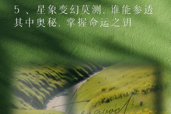 2021年龙年命理解析：理解你的性格与命运之路