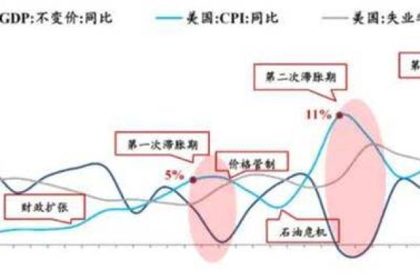 探索日元属猪的命运：性格、特征与人生之路
