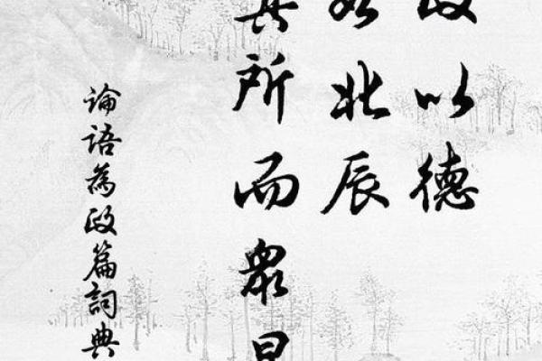 土命人士的色彩禁忌：智慧与和谐的选择之道