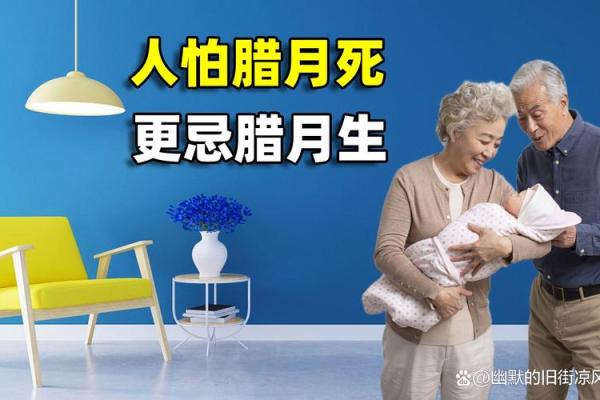 在冬季腊月，感受2011年女命的独特魅力与智慧