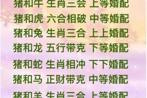 戊辰己巳八字命理：解析最佳婚姻运势与幸福之道