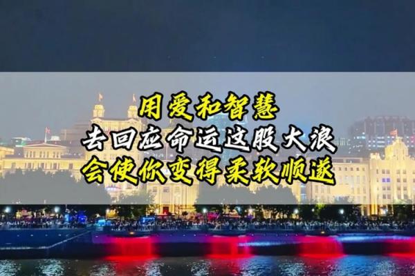 1977年属龙命格解析：揭示你的命运与人生智慧