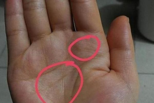 揭示横纹手相女命：命运的秘密与生活的启示