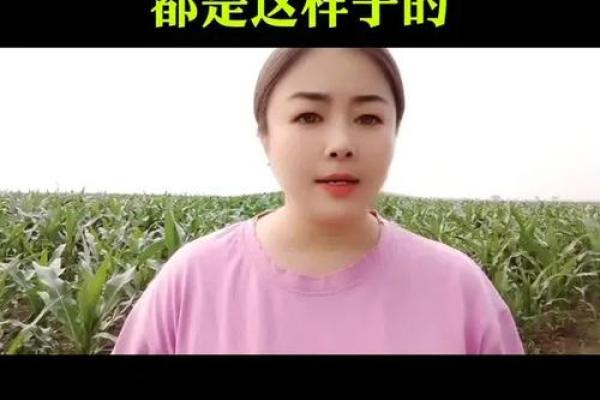 女人的命格：揭示生活中的不平凡与平常之间的微妙关系