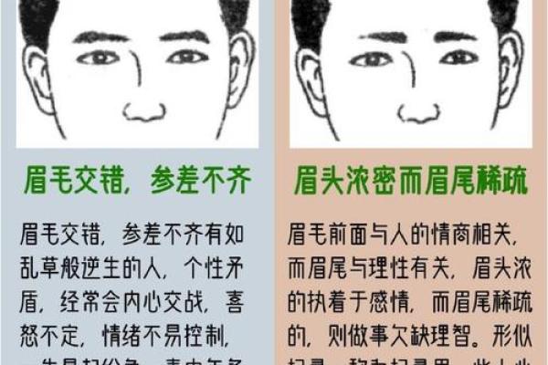 眉尾眉毛稀少的命运解析与改善方法