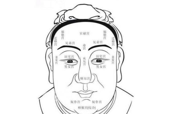 曾国藩面相解析：揭示命运的奥秘与人生的启示