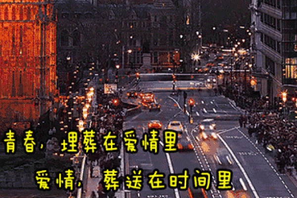 露水鸳鸯：短暂爱情的象征与深刻哲理