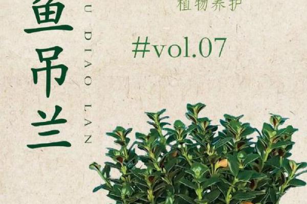 涧下水命的金鱼养护指南——让你的金鱼健康快乐成长！