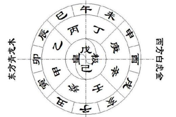 探索己卯丁丑戊辰壬子命理的奥秘与人生启示