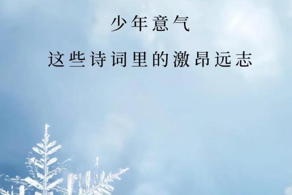 探索少年脸型与命运的奥秘：胖脸少年人生的丰富内涵