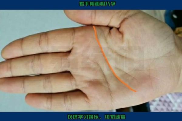 2014年属鸡的命运解析：揭示鸡年人的人生轨迹与性格特征