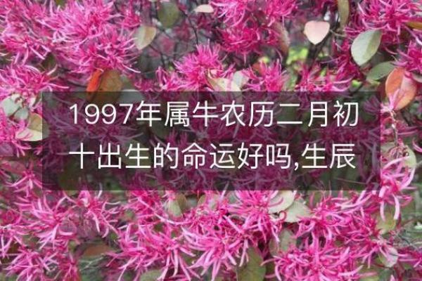 涧下水女人的命运解析：流淌着的生命哲学与命理智慧