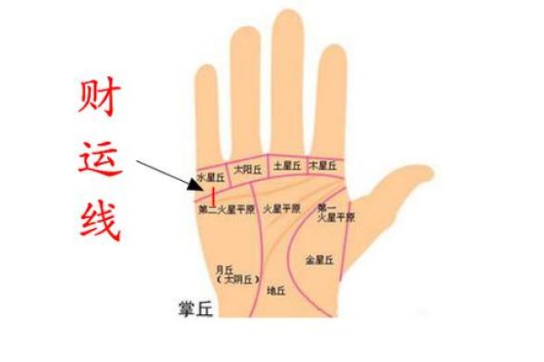 手掌比手指长的命运解析：你知道你的命运线吗？