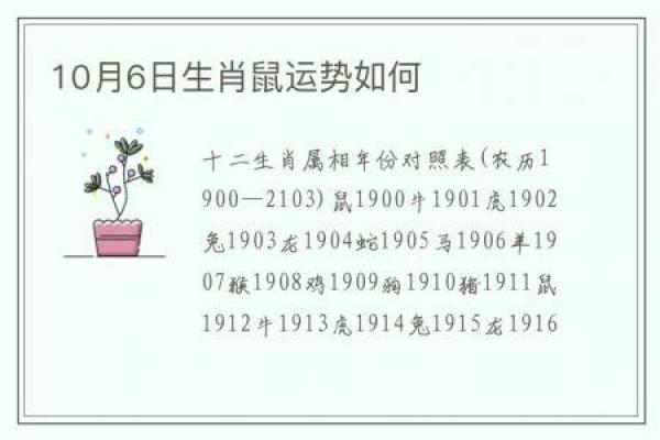 2008年属鼠人的命运解析：探索力量与机遇的神秘之旅