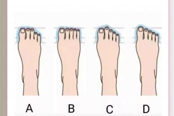 享福命的女人面相解析：你是否具备这样的特征？