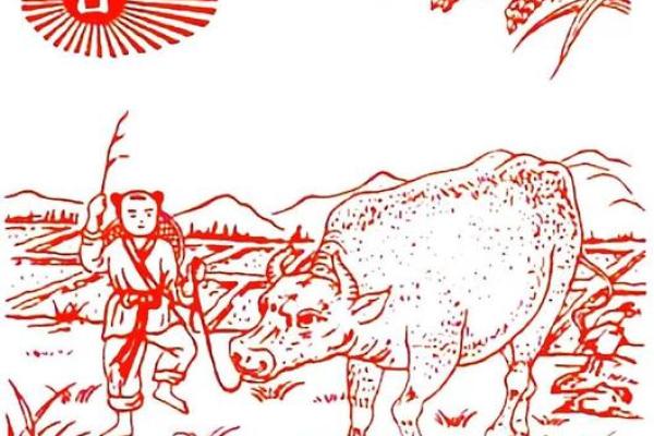 探索《饿金命》之外的神秘领域：揭示命理的多样性与深度
