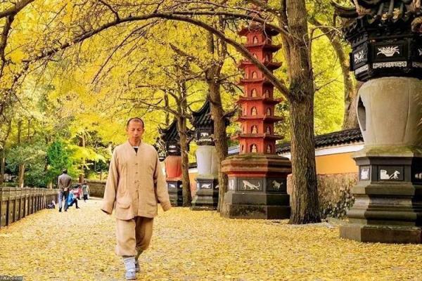 探寻放生物种与肠炎的神秘关系，助你健康无忧！