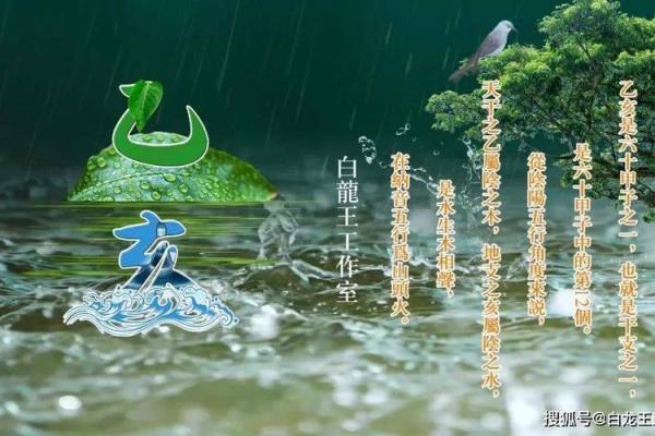 11月19日命理解析：揭示这一日诞生者的独特人生轨迹与性格特征