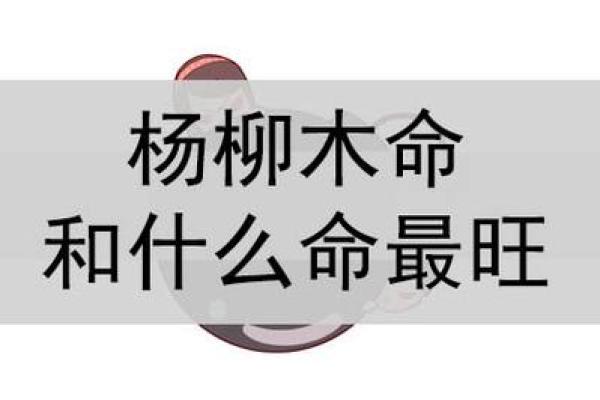 杨柳木命人适合的摆件与摆放技巧指南