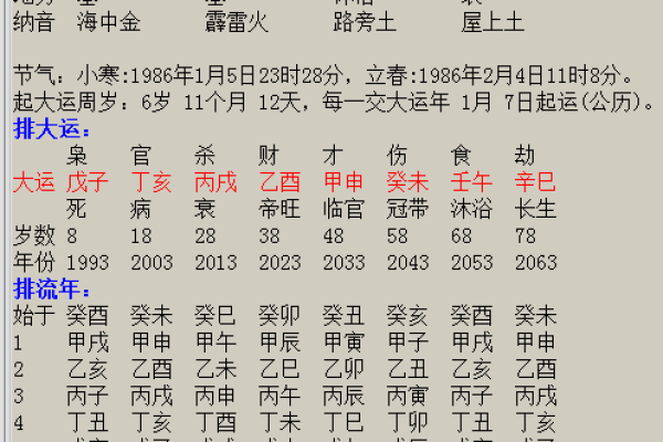 壬午庚戌丙辰命运解析：如何选择最有利的命格与人生方向