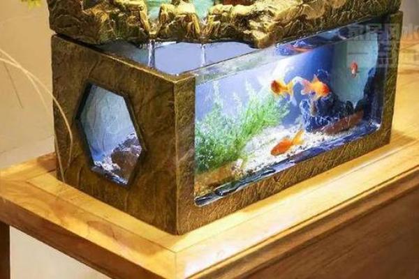 命理缺水者的风水调理与生活建议，助你聚水生财！