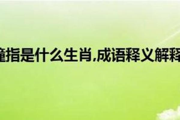 命好的人所指的动物：揭开生肖背后的智慧与魅力