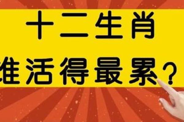 命好的人所指的动物：揭开生肖背后的智慧与魅力