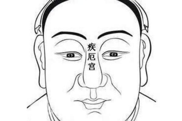山林之兔：命运与自然的共舞，探秘山林之兔的命理奥秘