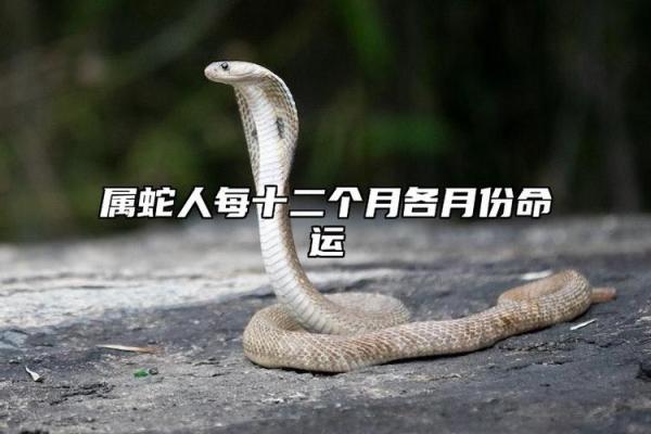属蛇人：八月出生的命运与性格分析