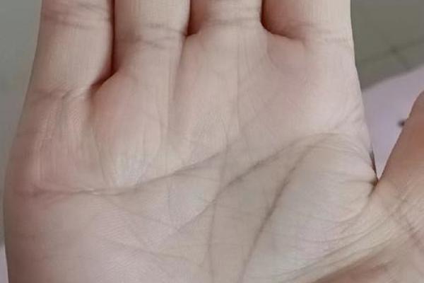揭秘公主命的掌纹：你的命运与手掌有何关系？