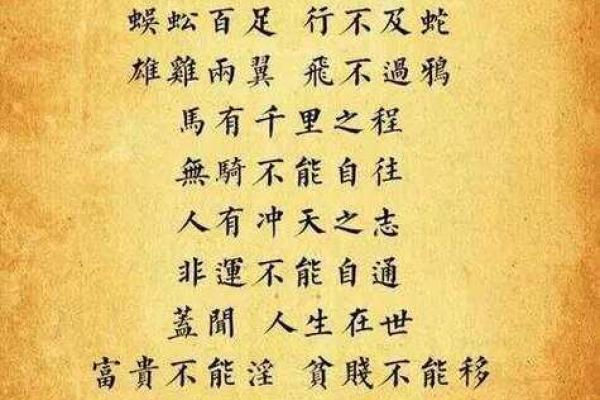 揭示命运背后：为何有些人总是存不住钱？