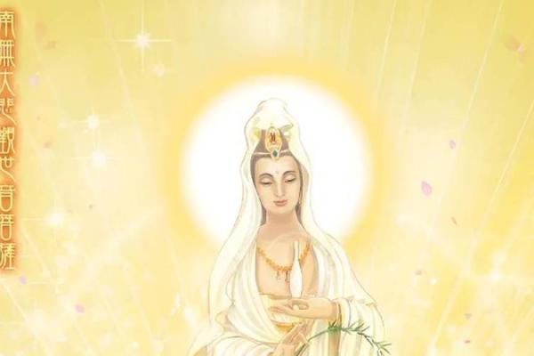 2004年猴年的命运与人生智慧解析