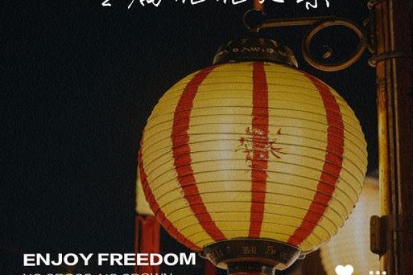 1997年男牛命：穿越岁月的坚韧与力量