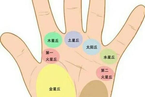 掌握手中纹理，解读命运密码：你的命运在掌心中